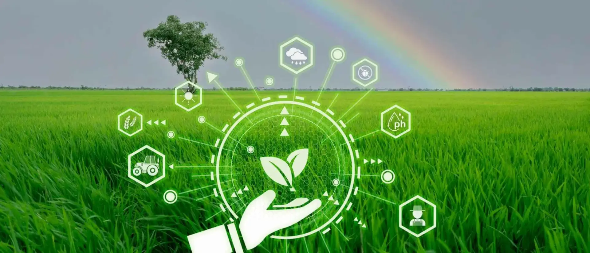 de corporatiestrateeg bcd labels verduurzamen met beleid 1 2560x1100 1 De Corporatiestrateeg